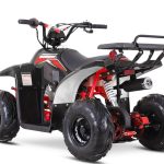 Квадроцикл SHARMAX 130 Cross