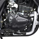 Мотоцикл MOTOLAND GS ENDURO (172FMM-5/PR250) ТУРЭНДУРО