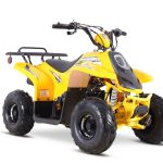 Квадроцикл SHARMAX 130 Cross