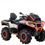Квадроцикл LONCIN Xwolf 1000 Mud