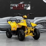 Квадроцикл SHARMAX 130 Cross
