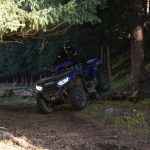 Квадроцикл LONCIN Xwolf 1000 (ПСМ)