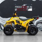 Квадроцикл SHARMAX 130 Cross