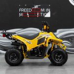 Квадроцикл SHARMAX 130 Cross