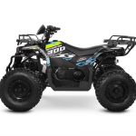 Квадроцикл SHARMAX 300 RX Activator