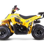 Квадроцикл SHARMAX 130 Cross