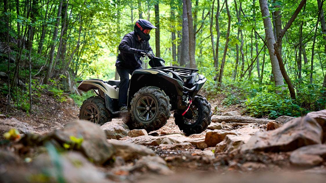  Grizzly 700 (ПСМ)