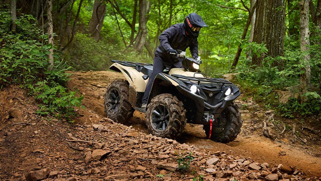  Grizzly 700 (ПСМ)
