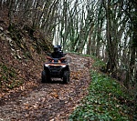 Квадроцикл CFMOTO CFORCE 800 HO EPS (ПСМ)