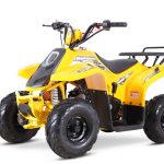 Квадроцикл SHARMAX 130 Cross