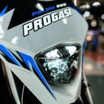 Мотоцикл кроссовый эндуро PROGASI Palma 300