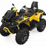 Квадроцикл STELS ATV 1000G Guepard Trophy EPS 2.0 (ПСМ)