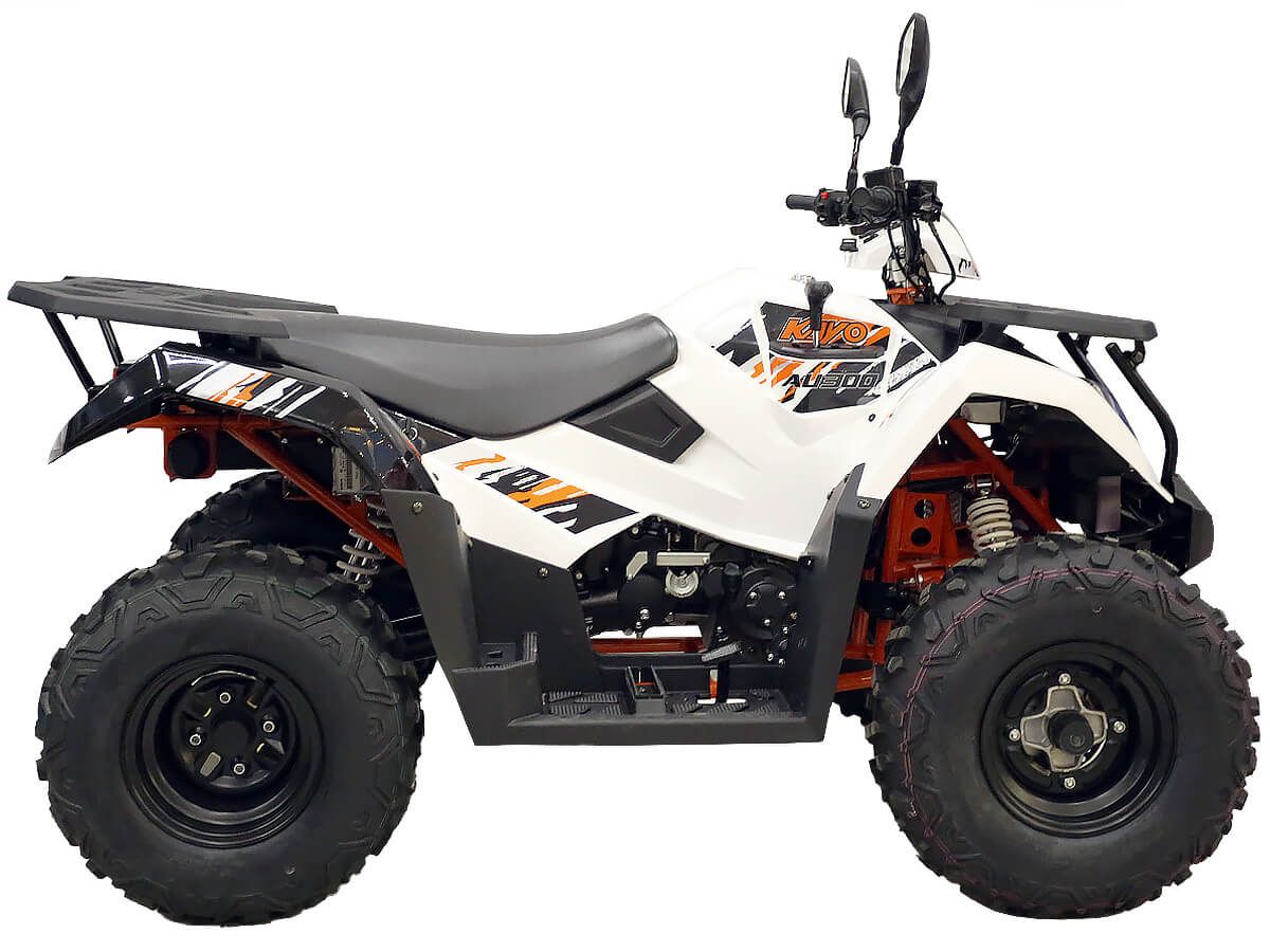  AU300 EFI