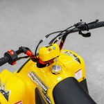 Квадроцикл SHARMAX 130 Cross