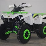 Квадроцикл AVANTIS Forester 200 Premium