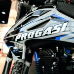 Мотоцикл кроссовый эндуро PROGASI Palma 300