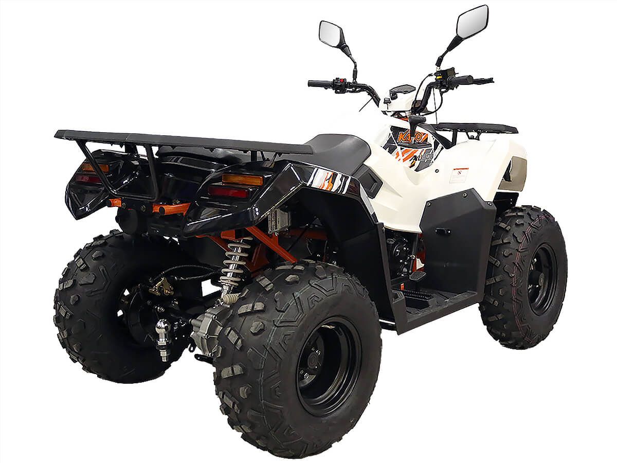  AU300 EFI