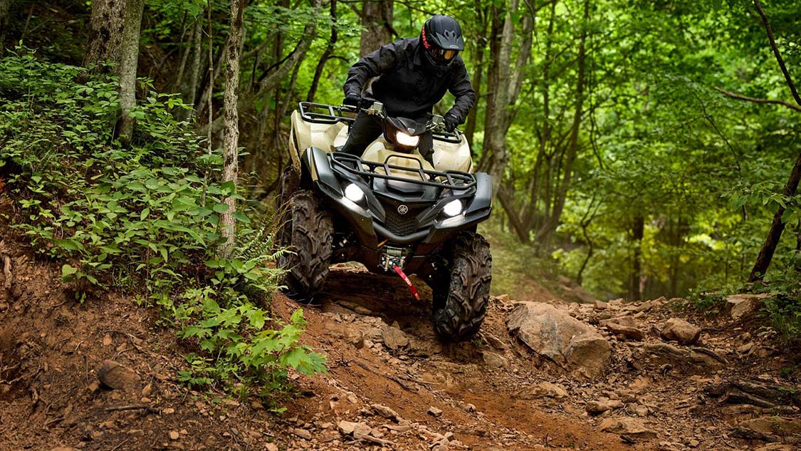  Grizzly 700 (ПСМ)