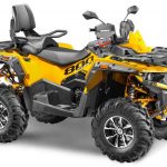 Квадроцикл STELS ATV 800 Guepard Trophy EPS CVTech (ПСМ)