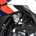 Мотоцикл MOTOLAND GS ENDURO (172FMM-5/PR250) ТУРЭНДУРО
